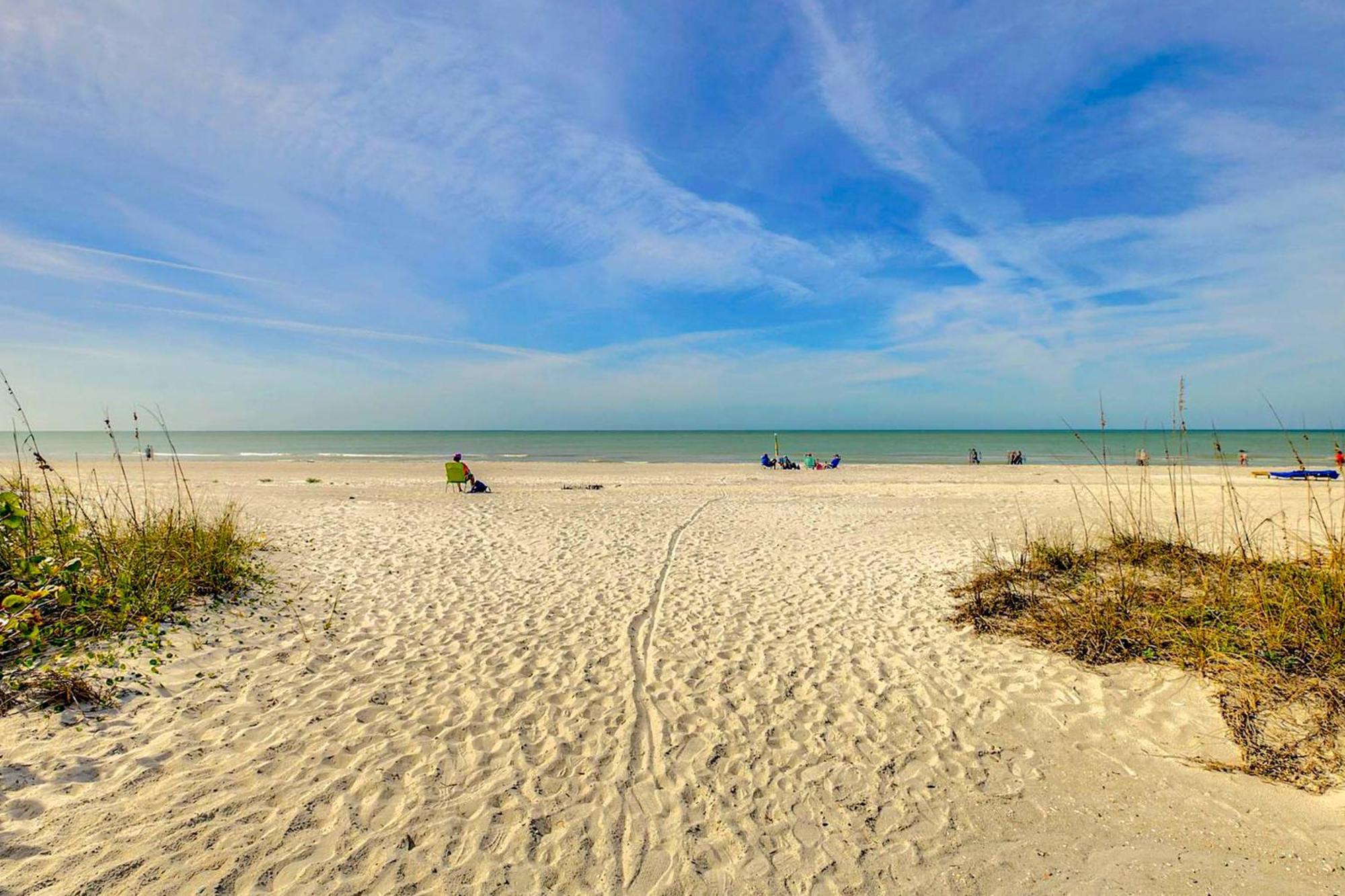 Tropical Paradise Clearwater Beach Rum bild