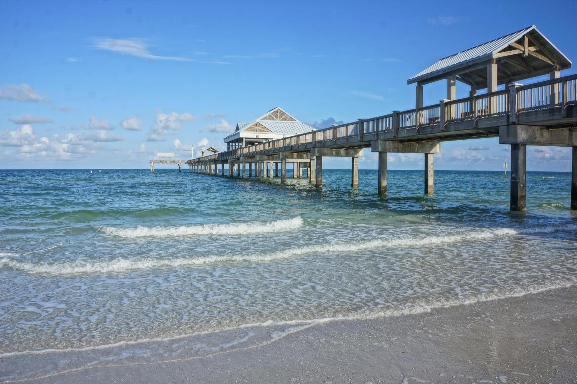 Tropical Paradise Clearwater Beach Rum bild